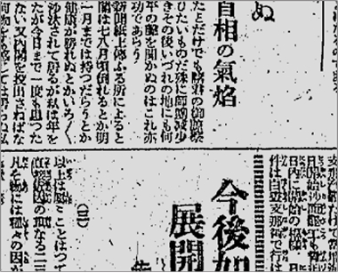 黒い斑点が写っている例